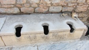 Making the most of the public latrines